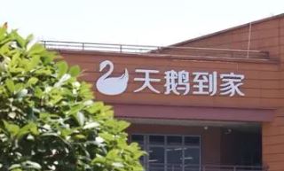 天鹅到家IPO隐忧：月嫂高抽成仍巨亏 员工未足额缴纳五险一金