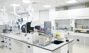 派格生物冲刺科创板IPO：研发管线覆盖肥胖、阿尔茨海默症 拟采用第五套标准上市