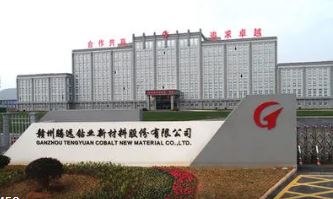 腾远钴业回复创业板落实函 海外子公司向自然人供应商大额现金采购被关注