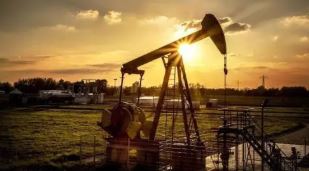 石油公司CEO：油市将继续剧烈波动 需要加大对能源行业投资