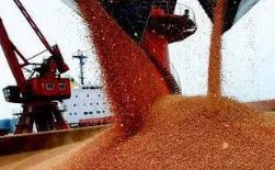 世贸组织部长级会议开幕 俄乌冲突引发的粮食危机成议题