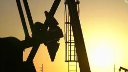 阿联酋能源部长：石油库存增长显示市场需求充足