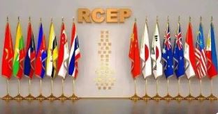  RCEP对促进贸易开放和包容至关重要