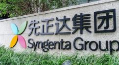 中国A股再迎“巨无霸”IPO：先正达拟募资650亿元