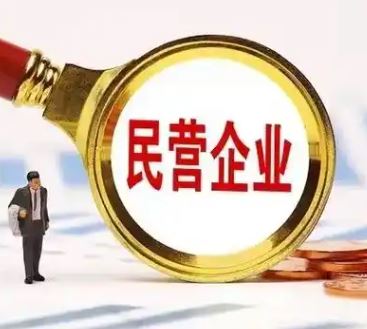 亮眼数据彰显民营企业创新活力足