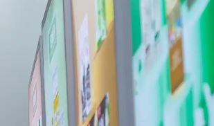 销毁证据、阻碍检查……想念食品被罚5年内不得IPO