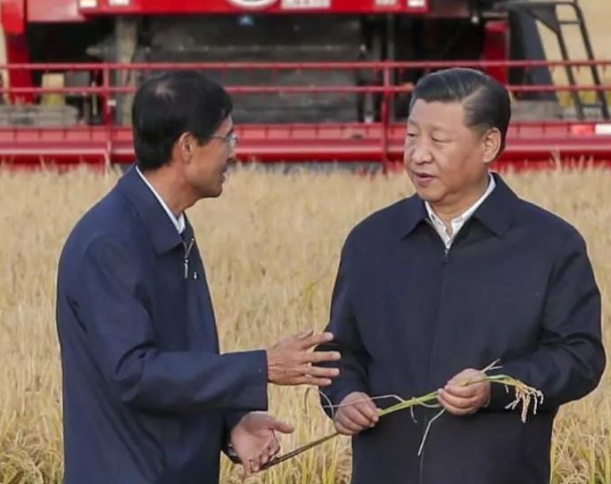 牢牢把住粮食安全主动权 中国饭碗成色更足